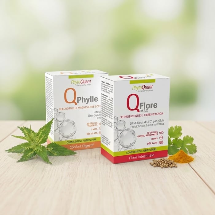 Cure Confort Intestinal image